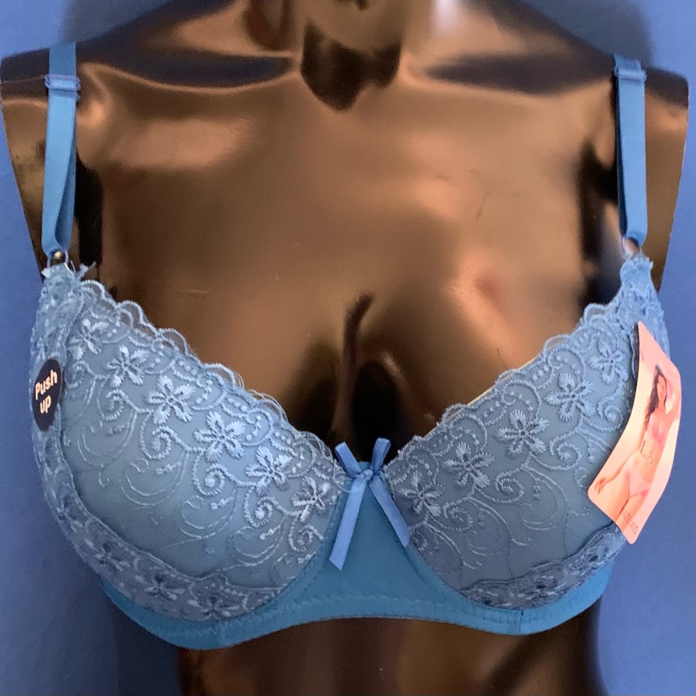“L.S.” Lacey Blue Bra 40D  NWT